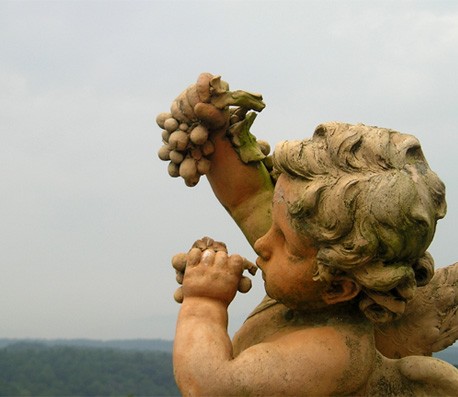 呼死你软件短信