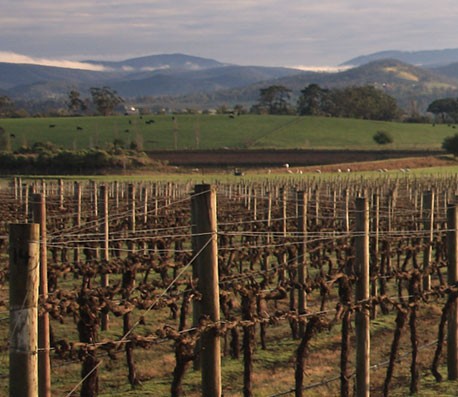 网页短信轰炸机